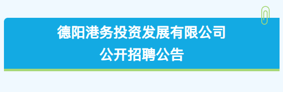 德阳港务投资发展有限公司2024年公开招聘公告