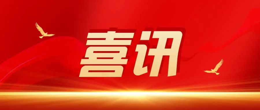 喜讯！四川百益人力资源管理有限公司党支部正式成立！